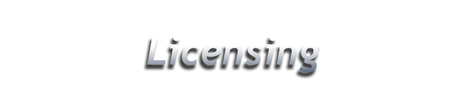 TEK 1st, LLC IT Consulting Services, Licensing